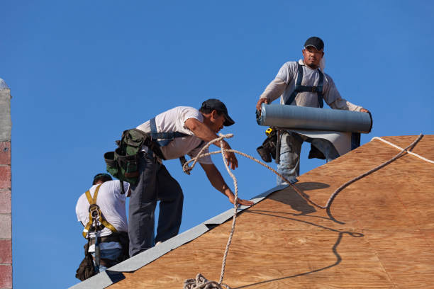 Best Storm Damage Roof Repair  in Rossville, TN
